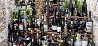 Feine Weine im Schlossrestaurant Zentgraf Gifhorn